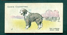 COPE'S - DOGS OF THE WORLD, no.4 OLD ENGLISH SHEEPDOG  1912 ISSUE TYPE CARD