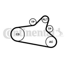 Continental ctam 6pk1020 extra - continental,