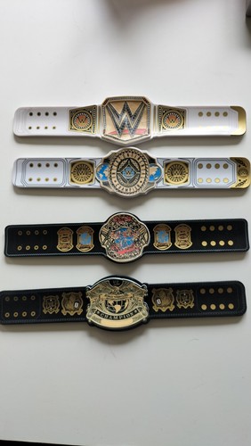 World wrestling entertainment - wrestling,