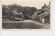 RPPC View of Caldy village nr