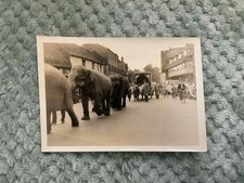 Rare PT BARNAM CIRCUS ELEPHANT PARADE PHOTOGRAPH