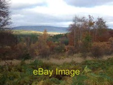 Photo 6x4 View north from