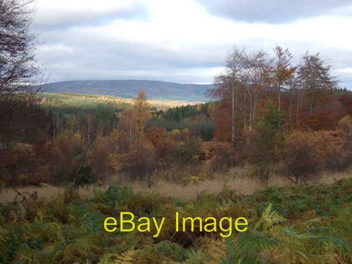 Photo 6x4 view north from - north,