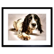 Springer Spaniel Cute Dog Framed Wall Art Print 12x16 Inch