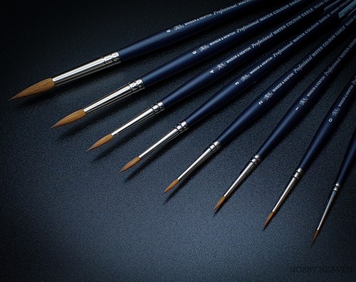 Winsor newton professional - &,