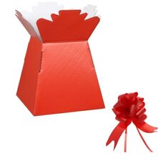 Red Bouquet Living Vase with