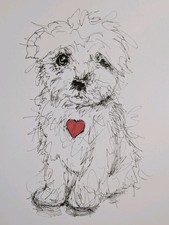 Maltese Puppy Dog Illustration