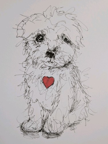 Maltese puppy dog - dog, illustration