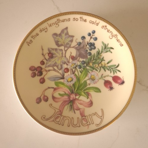 Davenport january edith holden - davenport,