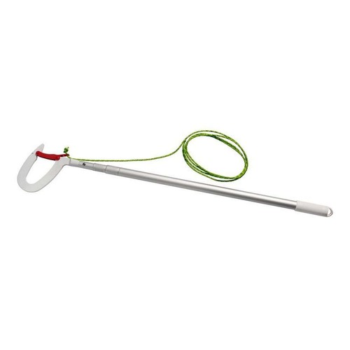 Telescopic boat hook for buoy