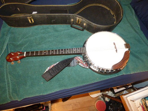 Vintage kay string - string, banjo