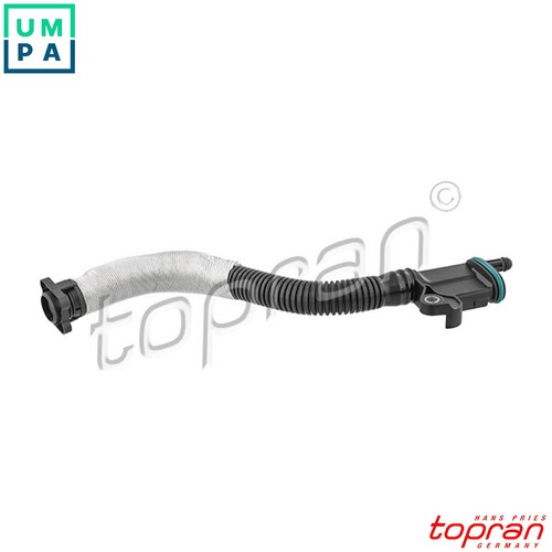 Hose cylinder head - hose,