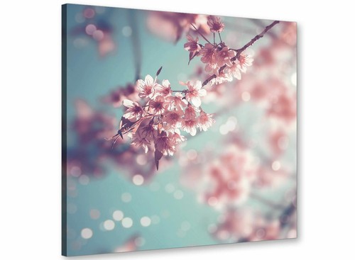 Duck egg blue pink shabby - egg,