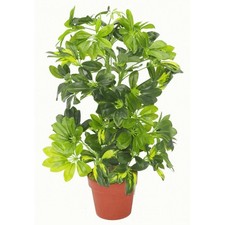 Artificial Plant Umbrella Tree