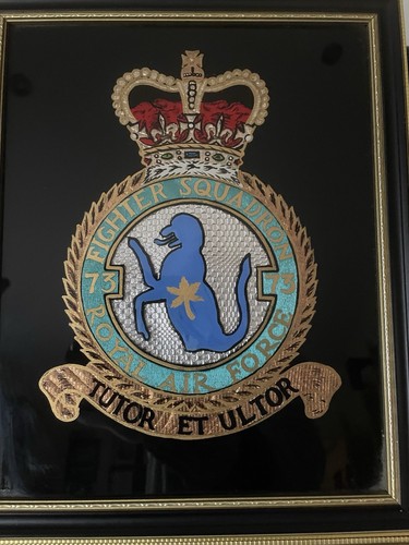 Two raf squadron crests - squadron, from