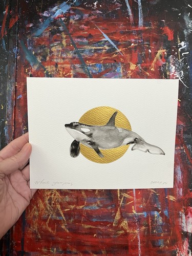 Original killer whale - original, sunset