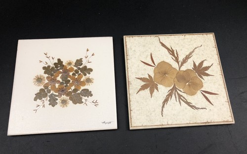 Vintage pressed dried - dried, flower