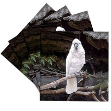 3dRose, Moluccan Cockatoo