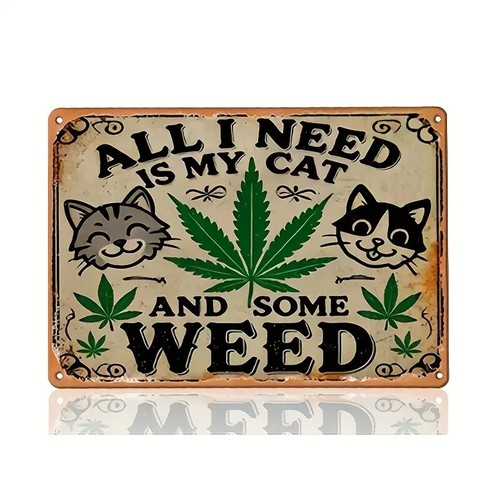 All need cat - all, is