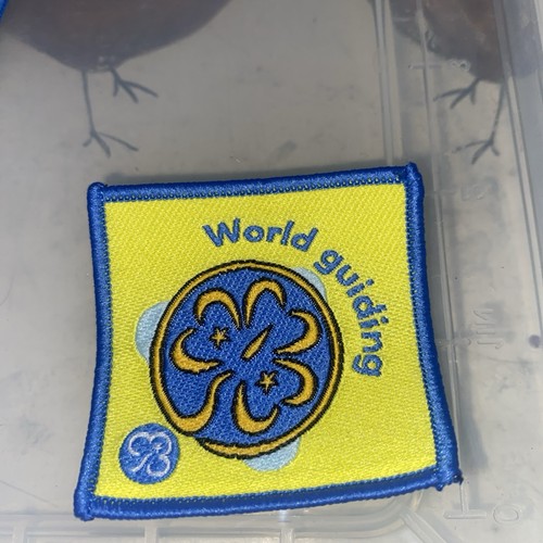 Girl guiding old style brownie - old,