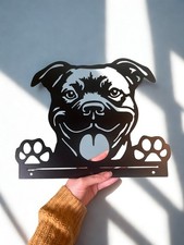 Peeking Staffy / Staffordshire