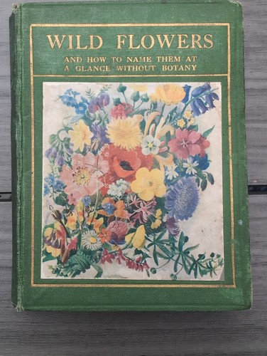 Vintage wild flowers and - flowers,