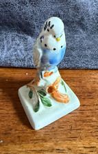 Beautiful vintage budgie