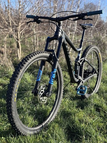 Giant stance fox - giant, 29