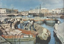 1974 Bridgetown Barbados