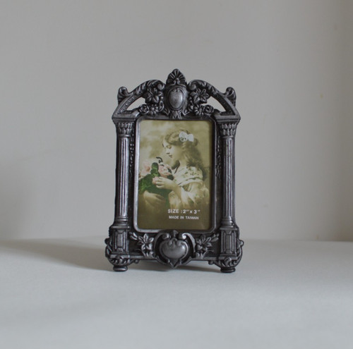 Ornate portrait silver - portrait, tone