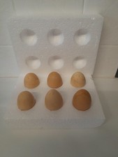 Silkie Bantam Fertile H@tching