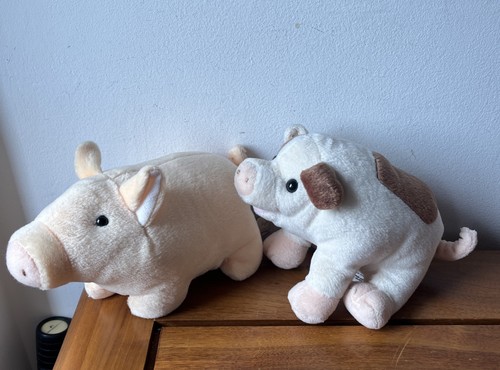Pigs keel toys plush - toys, pig