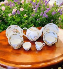 Aynsley Cottage Garden Tea Set Teapot 2 cups,saucers, Plates,Milk Jug,Sugar Bowl
