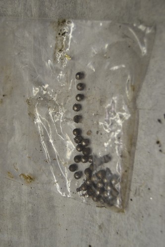Stem bearing ball balls