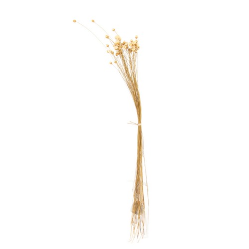 Natural art dried flowers - natural,
