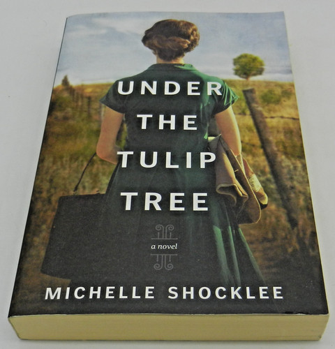 Under the tulip tree - under, by