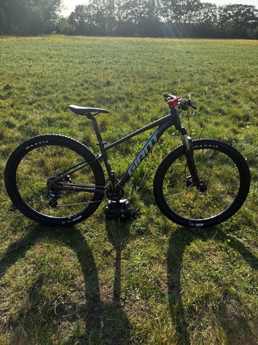 Giant talon size - size, 29inch