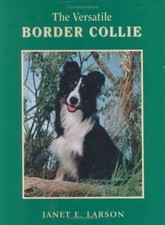 The Versatile Border Collie