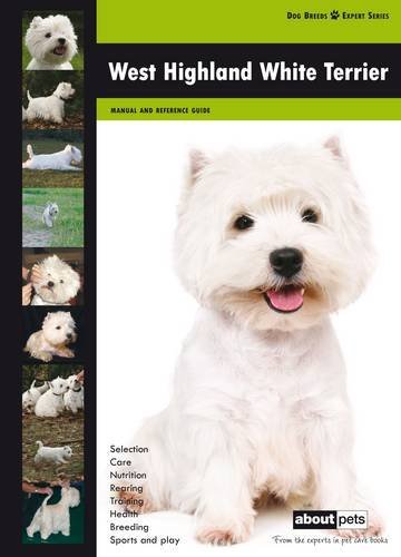 West highland terrier dog - highland,