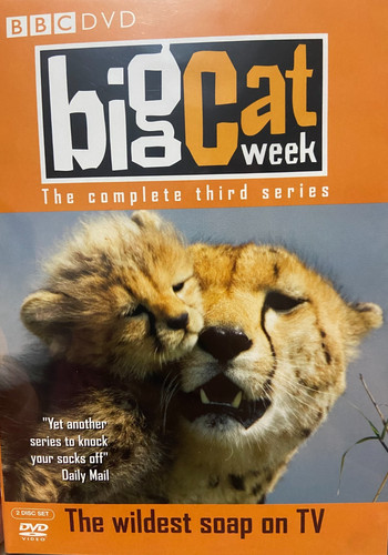Big cat week season - week, 3
