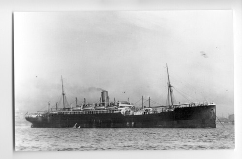 Lp0166 liner moreton - lp0166,
