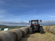 Hay Haylage, 1 Round Bale