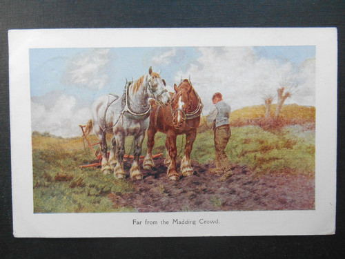 Farming heavy horses - x,