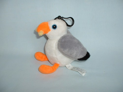Steven the seagull bird - steven,