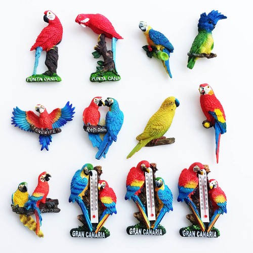 Spain dominican parrot - dominican,