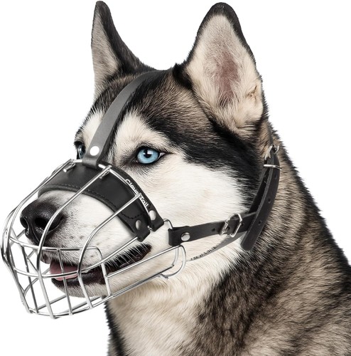 Quality upgraded metal husky - upgraded,
