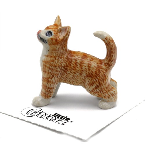 Little critterz brown cat - little,