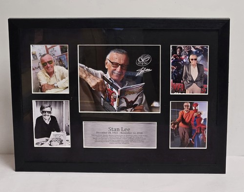 Hwc stan lee marvel - stan,