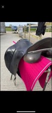 Albion slk dressage - albion,