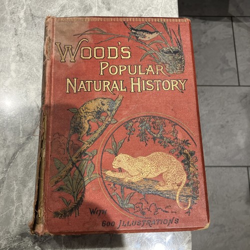 Woods popular natural history - natural,